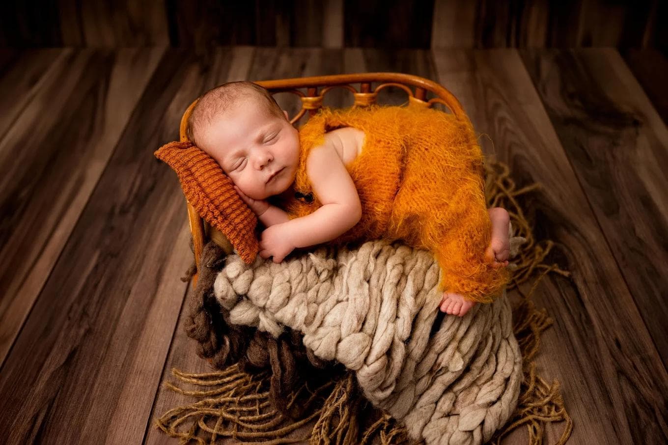 Tiny Adventure Devon - Other Profession